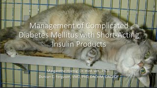 Management of Complicated Diabetes Mellitus in Dogs and Cats, Part 1: Diagnosis by VetMedAcademy 160 views 1 year ago 9 minutes, 21 seconds