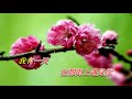 因為我愛你 華語 卡拉伴奏版 因為我愛你 華語 卡拉伴奏版