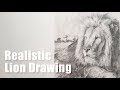 Realistic lion drawing - Filling my sketchbook