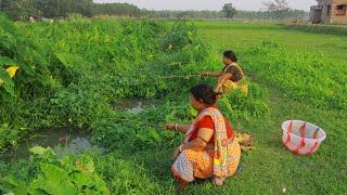 Fishing Video || The beautiful village lady is fishing in canal with her brother || Fish hunting