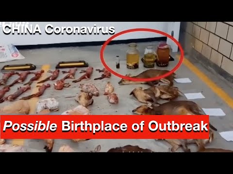 china-virus-wuhan-coronavirus:-new-video-of-wuhan-seafood-market-possible-birthplace-of-outbreak