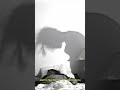South Strip - MY SOUL TO TAKE (Official Lyric Video) #underground #viral #newmusic #trending