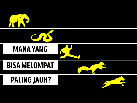 Video: Mengapa copepod melompat?