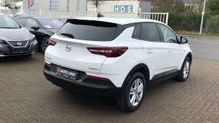 Opel Grandland (X) 1.5D Business Edition/Klim/Navi - Everything You Need to Know in 60 Seconds!