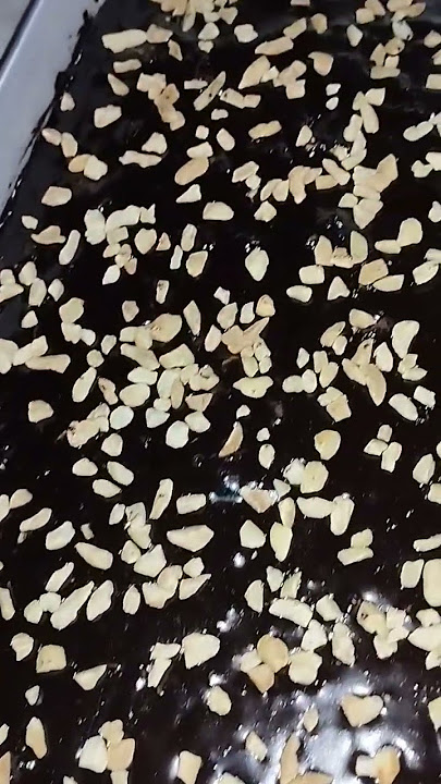 Fudgy Brownies #cookingvlog #bakedwithlove #brownies #shortsfeed #shortvideo #shorts #baking #food