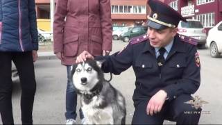 Иркутские полицейские вернули женщине-инвалиду похищенную собаку Иркутские полицейские вернули женщине-инвалиду похищенную собаку
