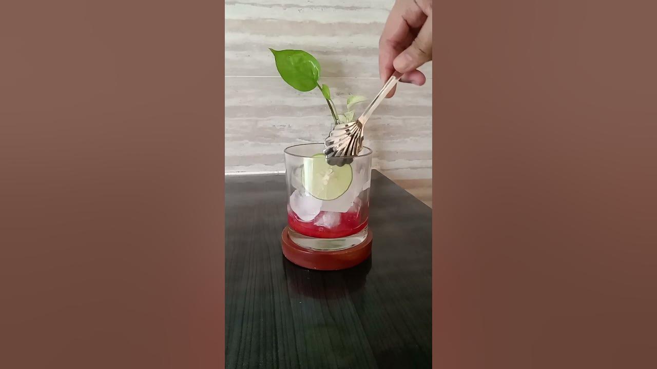 Mojito Strawberry #minuman #homecafe #jajan #aesthetic #manis #strawberry #jeruk#jeruknipis #fresh
