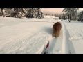 Кот тянет лыжника / Jesper the cat tows skier