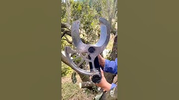 Tree Power Pruner in Action! 🌳✂️ Easy & Efficient Tree Trimming #viralvideo #shorts