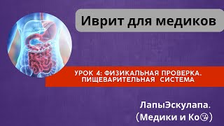 Урок 4. Медицинский иврит. Физикальная проверка. Пациент с проблемой ЖКТ