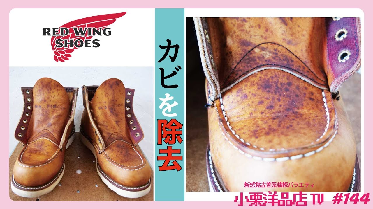 [REDWING]カビまみれのブーツをキレイにしよう！(How to clean moldy boots!!) YouTube