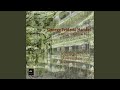 Miniature de la vidéo de la chanson Concerto No. 5 In In F Minor+: 1. Adagio