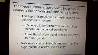 ap chapter 26 chemical regulation endocrine system part 2 5