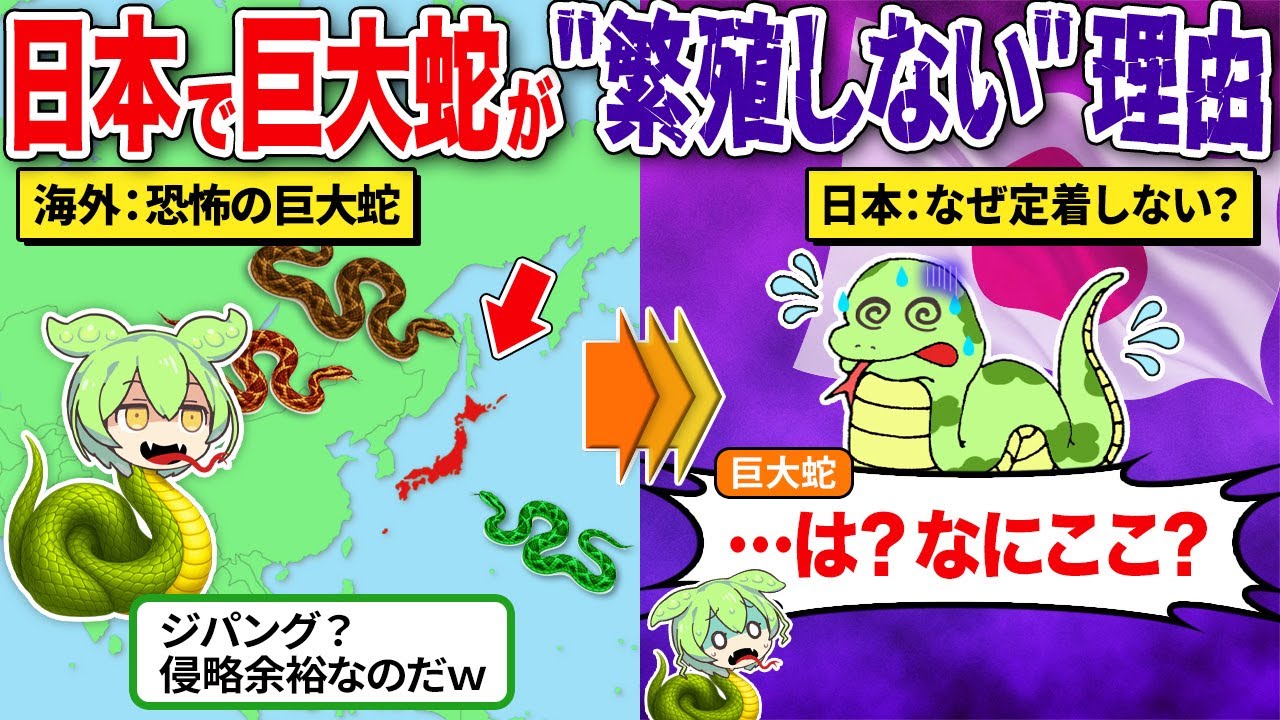 なぜ巨大蛇は日本で生息できないのか？