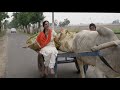 Aisa Des Hai Mera Song | Veer-Zaara | Happy India Independence Day!