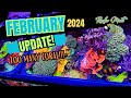The reef tanks are packed february 2024 update