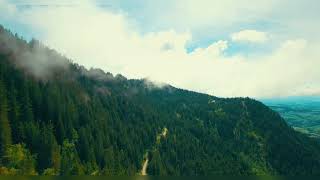 Jungle, Forest & Hills | Aerial View | Drone Shot | Free To Use Video | Creative Common