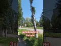 В ЗАПОРОЖЬЕ ПОЛЕТИТ СКОРО ПУХ 22.05.2026 #запорожье #цветы #запорожьесегодня #украина