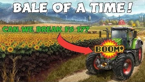 Can we crash fs 17?