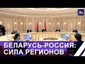 Лукашенко провел переговоры с губернатором Московской области. Панорама