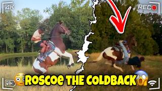 We Got Back on a COLDBACK Horse After 3 Months 😳 (Roscoe vs Everybody) 😂