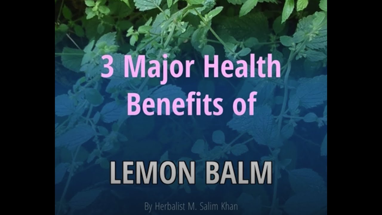 3 Major Health Benefits of Lemon Balm YouTube
