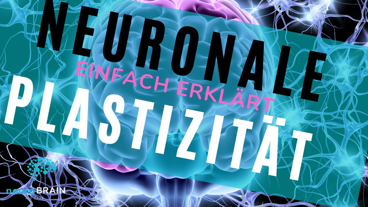 NEURONALE PLASTIZITÄT - Erklärvideo - YouTube