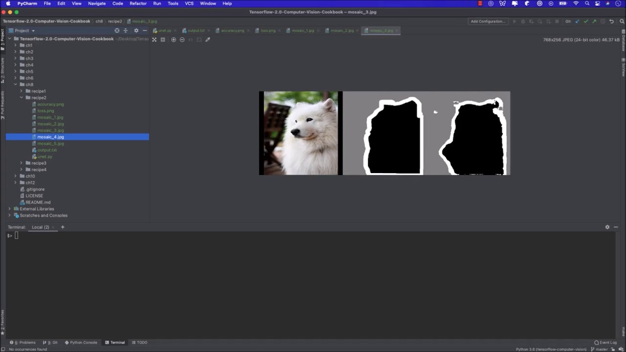 8. Fine-Grained Understanding of Images through Segmentation
