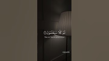 القارئ : عبدالرحمن مسعد سورة : النبأ #ارح_قلبك #قرآن #قران_كريم #عبدالرحمن_مسعد #اكسبلور . . .