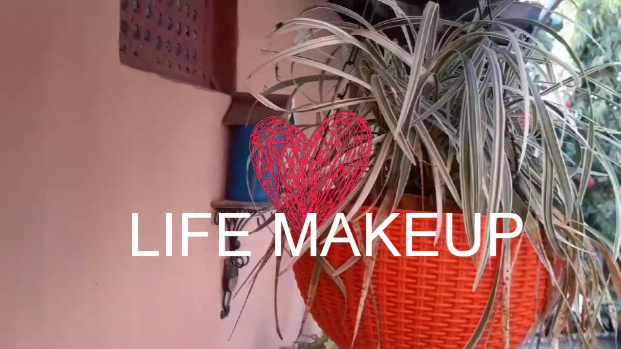 Winter garden  flaming glory bower vine