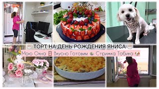 ТОРТ НА ДЕНЬ РОЖДЕНИЯ ЯНИСА🎂 МОЮ ОКНА🪟ВКУСНО ГОТОВЛЮ🍲 СТРИЖКА ТОБИКА🐶