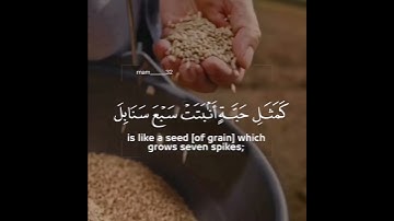 #سورة_البقرة بصوت القارئ #اسلام_صبحي