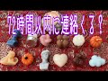 ãèŸå£ãå€ãã§ãã72æé以å
ã«é£çµ¡ã¯ããŸããïŒ12æ