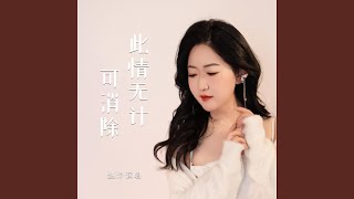 此情无计可消除