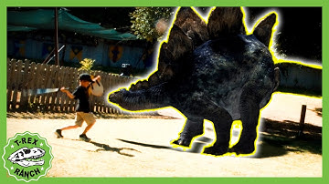 Theme Park DINO Battle!! | 🦖🦕 T-Rex Ranch Dinosaur Videos