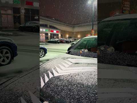 Michelin 34–50” Snow Brush Review — Telescopic, 360° Head, Winter Essential FreshenOPT Auto Parts