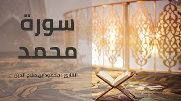 سورة محمد | القارئ محمود بن صلاح الدين | 1444هـ