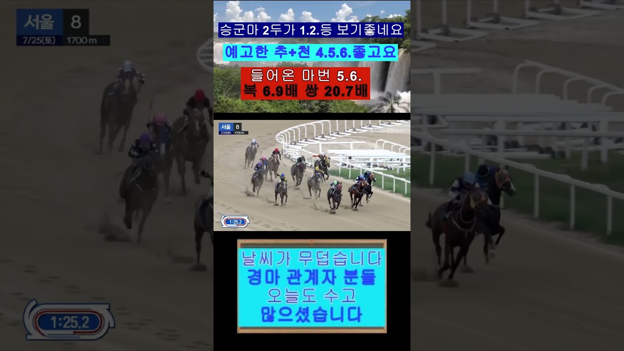 예고 추+천 승군마 2두가 1.2.등 들어오는 영상보기