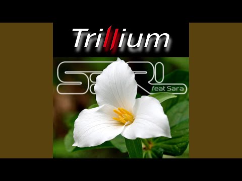 Trillium (feat. Sara) - Lofi