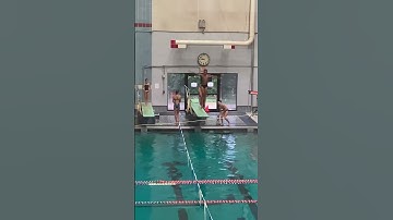 Front Dive 1 1/2 Somersault   Dive  103B