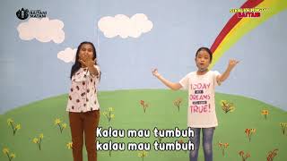Download Lagu BACA KITAB SUCI || Gerak \u0026 Lagu Sekolah Minggu || GMIM Baitani Matani MP3 Download Lagu BACA KITAB SUCI || Gerak \u0026 Lagu Sekolah Minggu || GMIM Baitani Matani MP3