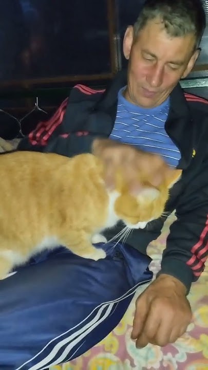 #котики - YouTube