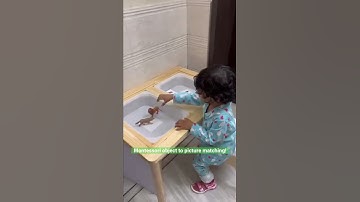 Montessori object to picture matching !