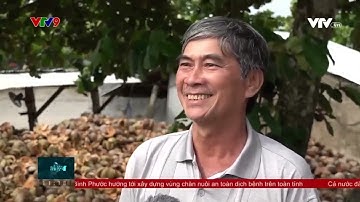 HIỆU QUẢ CHUYỂN ĐỔI SỐ TRONG PHỤC VỤ NGƯỜI DÂN CỦA NGÀNH ĐIỆN