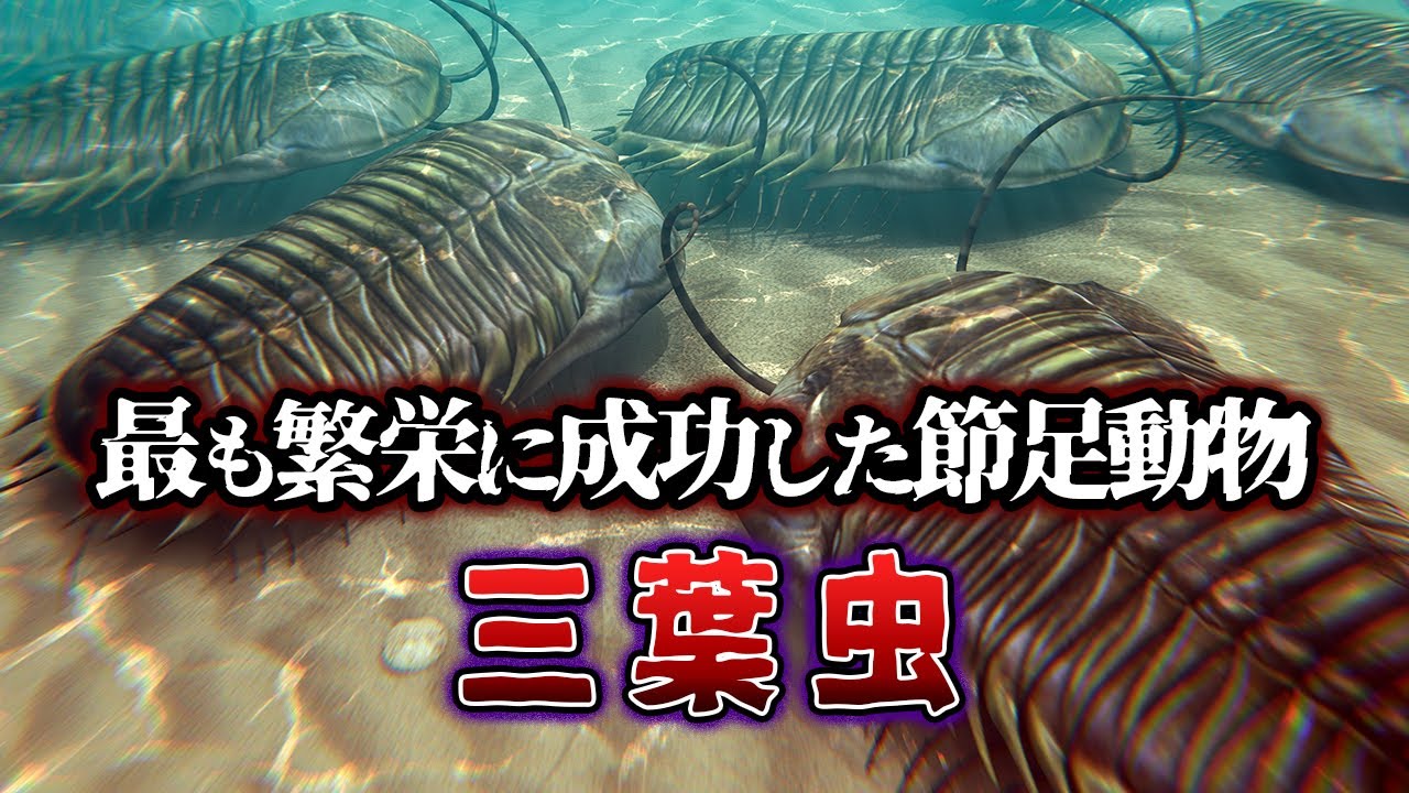 【ゆっくり解説】三葉虫とは一体何者なのか？その生態と絶滅の謎
