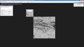 VAST Lite Tutorial: How to move around a data set