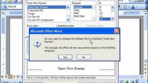 Word 2003 Tutorial Setting the Default Font Microsoft Office Training Lesson 31.4