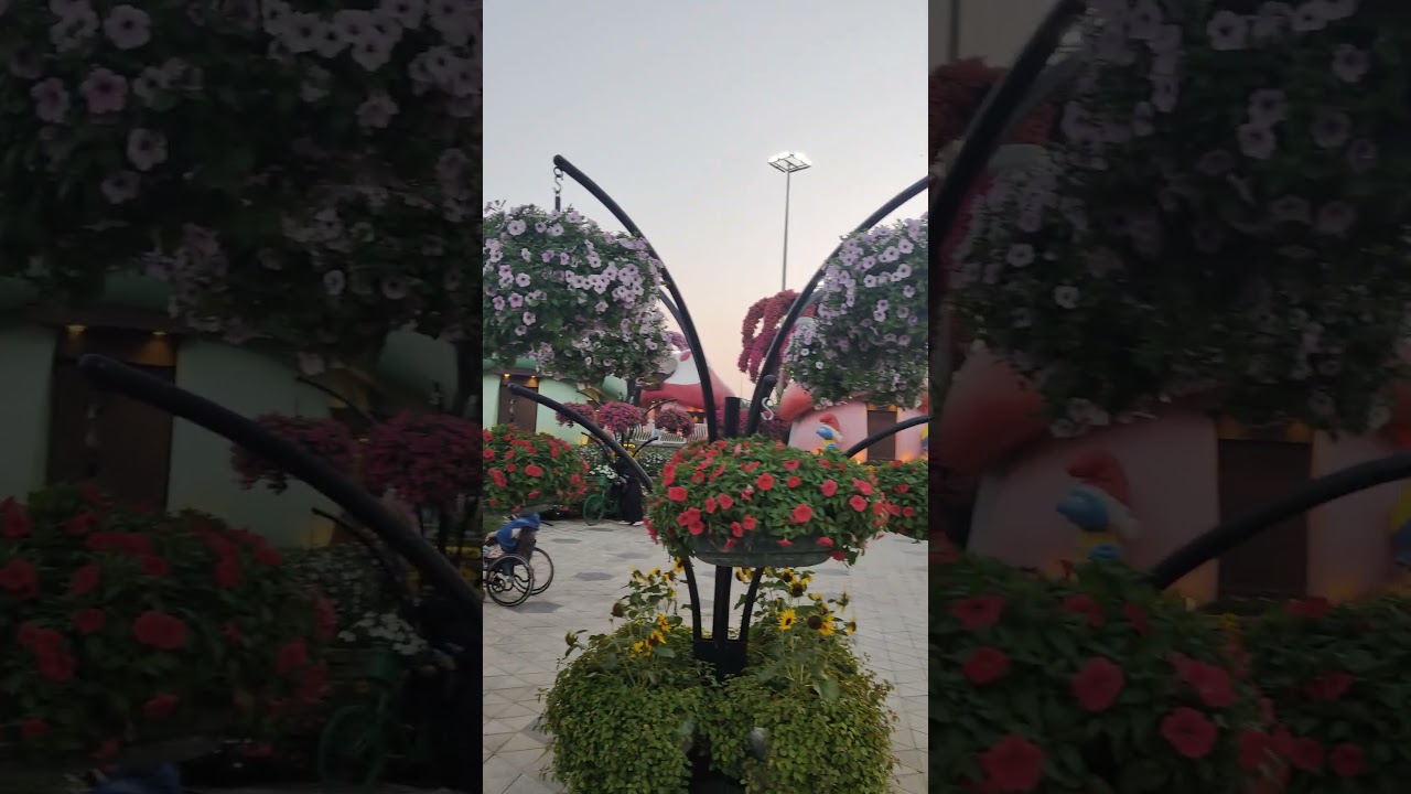 Blooming in the Desert: Inside the World’s Largest Flower Garden, Dubai Miracle Garden 🌺🌸🌼 🇦🇪 desert