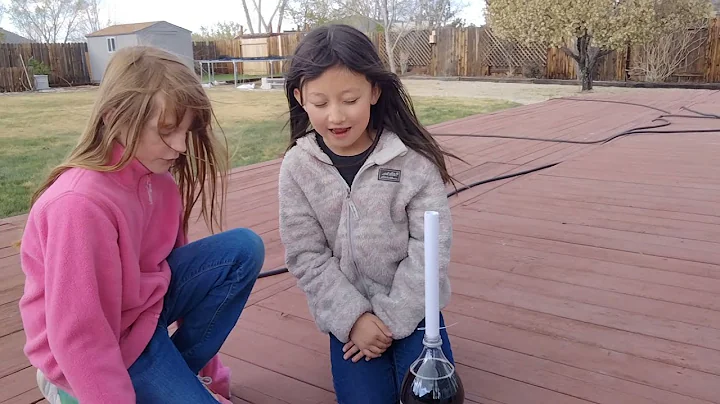 Shellie & Ruby's Mentos Fountain .