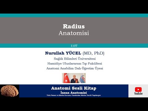 Radius  Anatomisi (110T)   Nurullah YÜCEL (MD, PhD)